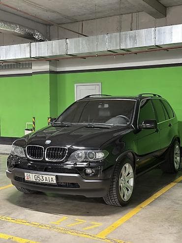 летняя резина 16: BMW X5: 2002 г., 4.4 л, Автомат, Бензин, Внедорожник — 2