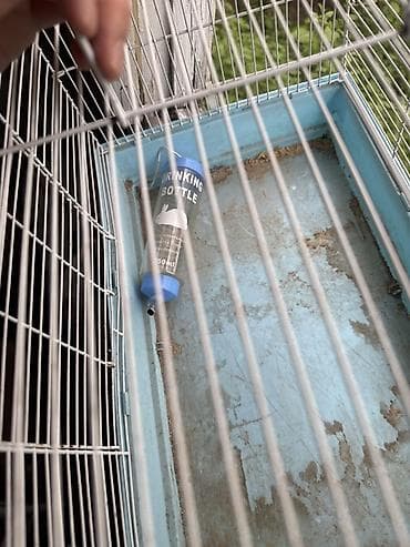 морской: Клетка для мелких животных/грызунов с поилкой - Материал — 3