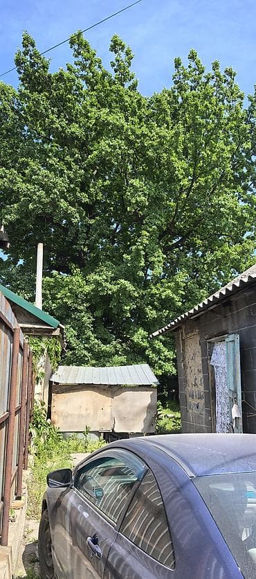 osh flat: Продаётся жилой дом с участком. - Частный дом в посёлочной застройке — 2