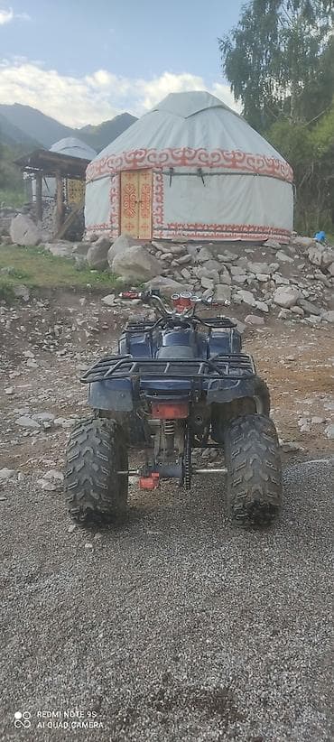 камера на мото: Квадроцикл Yamaha, Бензин, 200 куб. см, Взрослый — 4