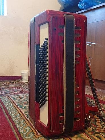 аккордеон красный партизан: Баян-аккордеон с клавиатурой (пиано-аккордеон) Описание: - Корпус — 2