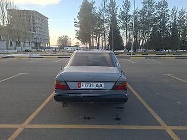 моющий пылесос для химчистки салона автомобиля бу: Mercedes-Benz W124: 1990 г., 2.5 л, Механика, Дизель, Седан — 2