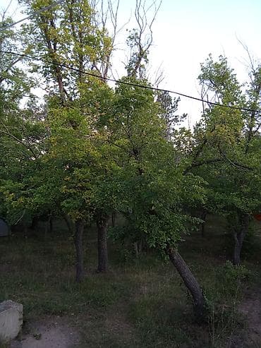 отпления: Гостиницы, отели (Посуточная аренда комнат) — 3