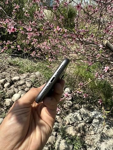 ipad м4: IPhone 11, 64 ГБ, Черный, Чехол — 6