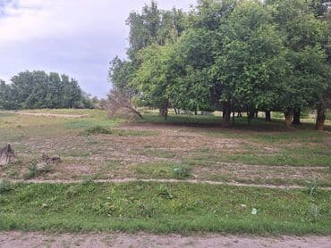 продается орошаемая земля в жайылско районе алтыр будёновка 5 40 гектар цена договорная с довой проблем нету оформление сразу: 43 соток, Для бизнеса, Красная книга — 2