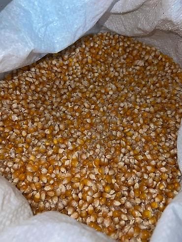 пакеты крафт: Кукуруза — 3