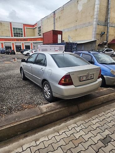 toyta vitz: Toyota Corolla: 2005 г., 1.6 л, Автомат, Бензин, Седан — 5