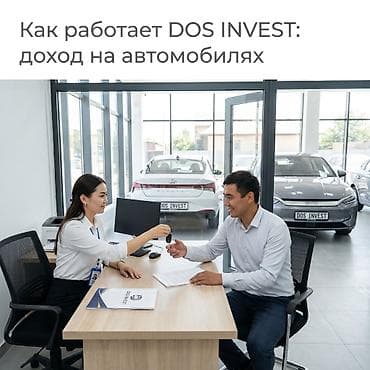 компания: Управление автомобилями для получения дохода от DOS INVEST (Бишкек) — 8