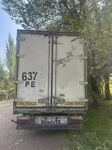 рено магнум 480: Тягач, MAN, 2004 г., Холодильник, рефрижератор — 5