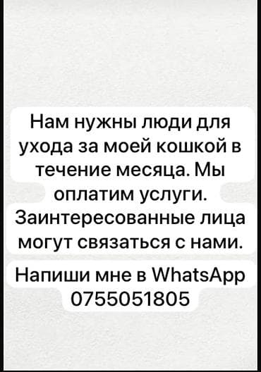 робота с проживания: Требуется сотрудник, Неполный рабочий день, График: Гибкий график, Оплата: Ежемесячно — 1