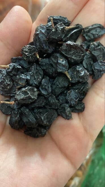 жасалма гулдор: Лейлектин жесең өрүгүн көтөрүлөт көңүлүң, күнүдө 1,2 ден жеп турсаң — 5