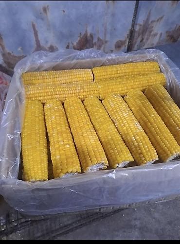 Промышленная химия: Сладкая Кукуруза початками, оптом только - Формат: целые початки без — 1