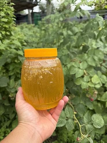Бал: Натуральный мёд «Ат‑башы» - 100% натуральный продукт - Чистый — 3
