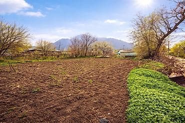 дома участки: 5 соток, Для сельского хозяйства, Красная книга — 1