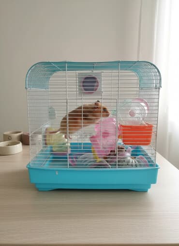дом для котов: Клетка для хомяка/малых грызунов с игровым тоннельным комплексом. - — 1