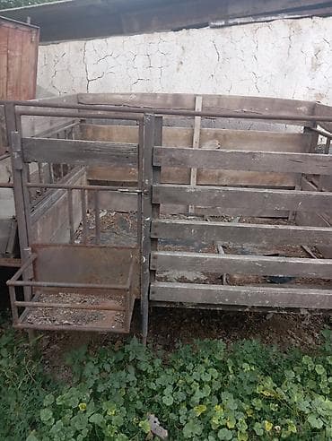 животные птицы: Клетка тапчан для баран. сделано из советского металла размер — 2