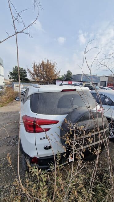 электра кар: JMEV : 2022 г., Электромобиль, Кроссовер — 6