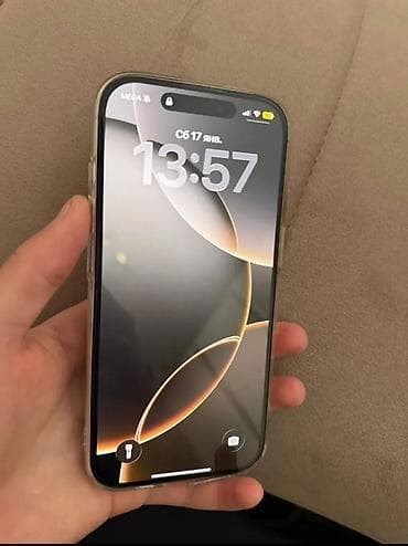 IPhone 15 Pro, Серебристый, Чехол — 4