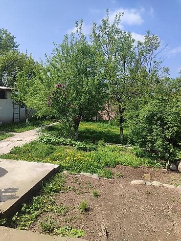 мелкий ремонт дома: Продается дача в горном ветерке или таштар Ата. дом 80 кв. утеплённый — 2