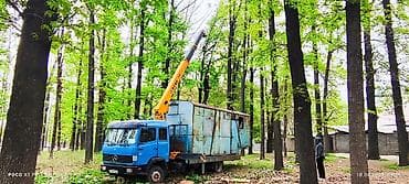 Автоуслуги: Стрела 15 м, 8 т, Борт 13 кг — 1