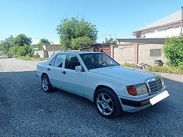 газель бутка: Mercedes-Benz W124: 1992 г., 2.3 л, Автомат — 4
