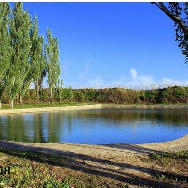 дом в кок жаре: Продается действующий Рыбхоз, г.Кант, район Цемзавода, участок — 1