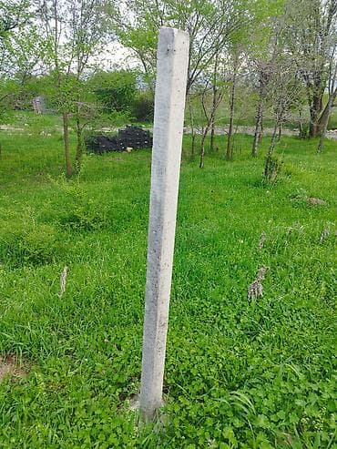 от насекомых: Железобетонные столбы для ограждений и садово-виноградных шпалер — 1