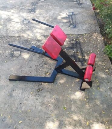 продаю в связи с переездом: Гиперэкстезия профессиональная — 1