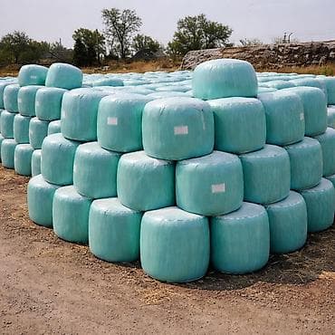 Айыл-чарба жаныбарлары: СИЛОС В БАБИНАХ 🌽
УРОЖАЙ 2024
Идеально выдержан
30% зерна — 1