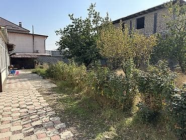 кирг шёлк: 5 соток — 2
