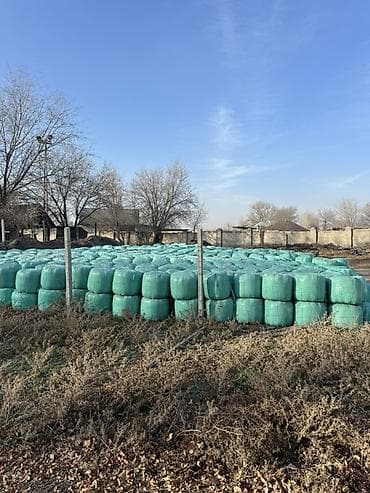 А\ч жаныбралары үчүн товарлар жана шаймандар: Сенаж в тюках в плёнке - Корм заготовлен в цилиндрических тюках — 1