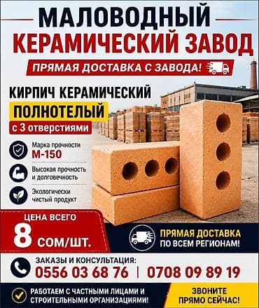 Полнотелый, таблетка, Жженый кирпич at lalafo.kg Полнотелый, таблетка, Жженый кирпич