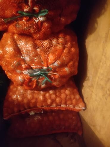 Жашылчалар: Грецкий орех в скорлупе — оптом в сетках - Натуральные грецкие орехи — 2