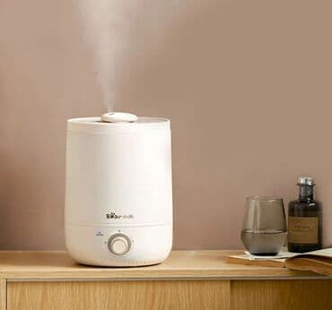 увлажнител воздуха: Увлажнитель воздуха Описание Бренд: Bear Модель: JSQ-C45U1 Цвет — 1