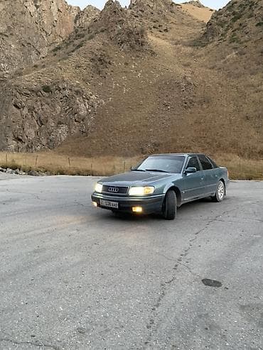 перья: Audi 100: 1994 г., Седан — 4