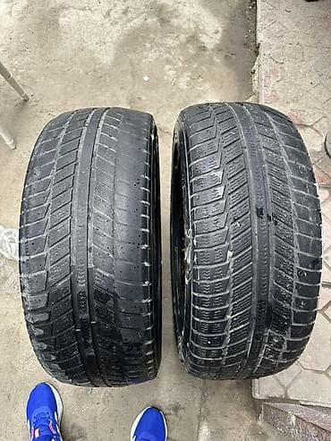 для зимы: Шины 255 / 50 / R 19, Зима, Пара, Внедорожные (АТ/МТ), SAVA — 1