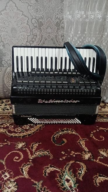 часы диски: Аккордеон Weltmeister «Meteor» (Германия), клавишный. Характеристики — 2