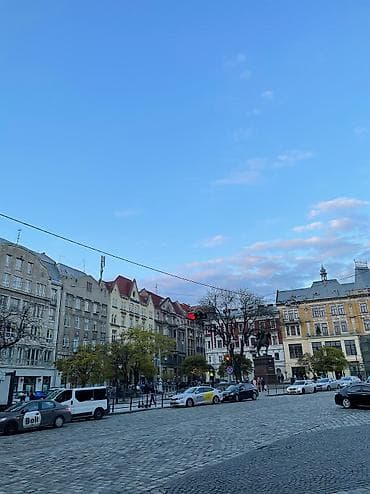 кош коргон: Фото животных котов — 4