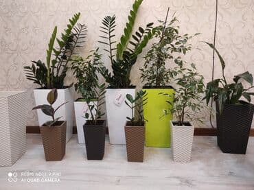 цветочница: Цветочные горшки
Россия, Турция, Польские
От 100с — 23