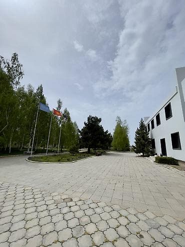 алтын казык ж м: 2 комнаты, 33 м², Элитка, 2 этаж, Дизайнерский ремонт — 6