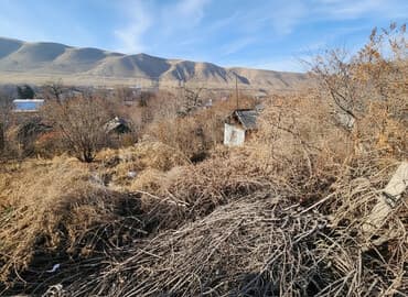 земельный участок рухий мурас: 4 соток, Для строительства, Красная книга — 1