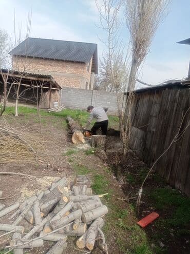 цены на строительные работы в бишкеке 2022: Услуги арбориста обследование дерева и экспертная оценка его — 5