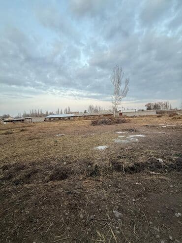 дом сх фрунзе сокулук: Үй, 3500 м², 6 бөлмө, Менчик ээси, Косметикалык оңдоо — 15