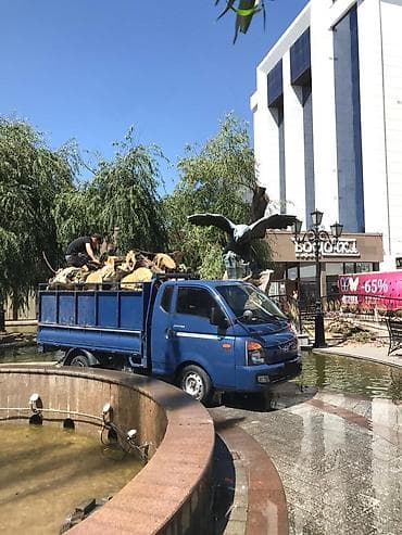 hyundai 55: Легкий грузовик, Hyundai, Стандарт, 3 т, Б/у — 3