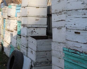 домик для кроликов: Пчелиные ульи из дерева, около 45 комплектов предназначенные для — 5