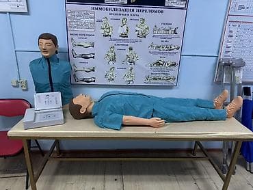 анатомическая кушетка: Комплект для обучения первой помощи и иммобилизации Состав и — 1