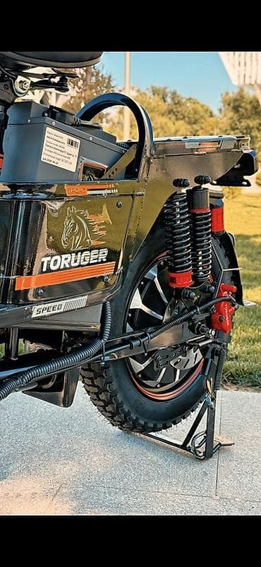 forward apache: Электровелосипед/скутер Toruger (город/офроуд) Акб - 60/30 Акб - — 5