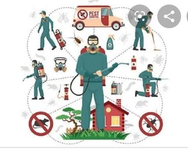 уничтожение клоп блох: Дезинфекция!!!любой сложности (*❛‿❛)→Приемлемая цена (*❛‿❛)→Качество — 6