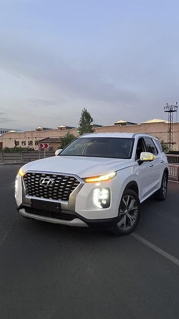 ml 2 7: Hyundai Palisade: 2020 г., 2.2 л, Автомат, Дизель, Кроссовер — 5