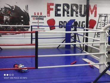 гдз полный курс математики 4 класс узорова нефедова ответы: Ковры маты даянги татами дзюдо борцовские ковры груши чучело медболы — 4